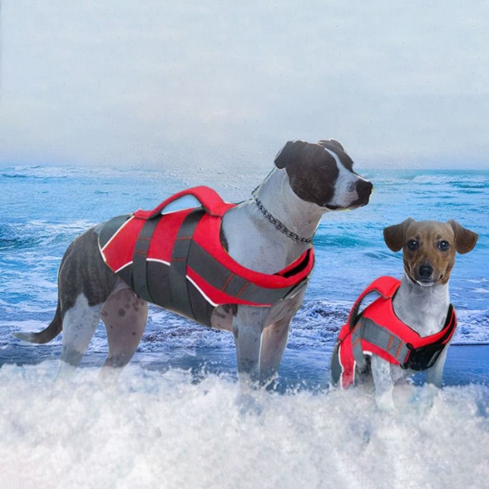 Reflective Dog Life Jacket Bre - Life Jacket review and price